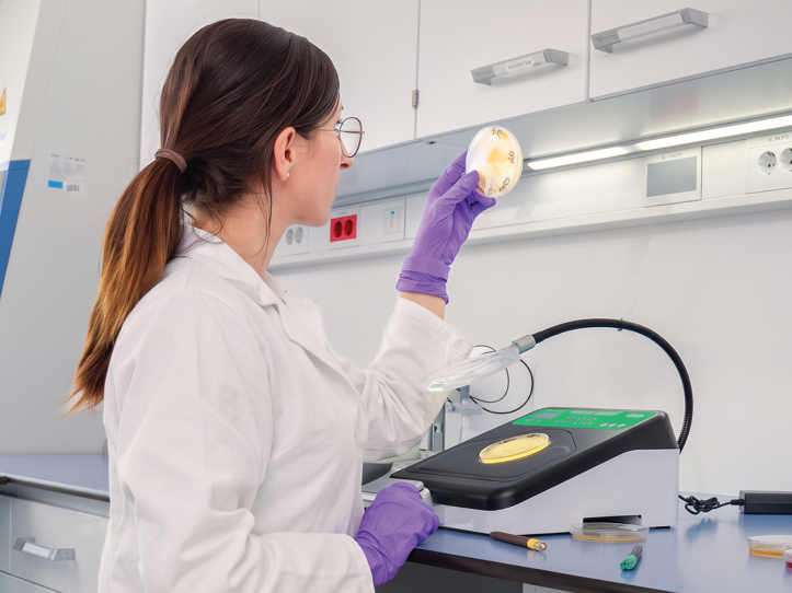 PDP_Bio-GR-Forte_mikroskop_725x542_B